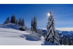 Winterlandschaft im Sparenmoos