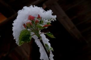 Winterzauber