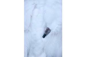Cocooning