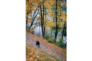 Herbstspaziergang ar Aare Herbstspaziergang ar Aare
