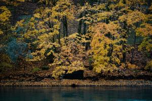 Herbst ar Aare