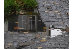 Fenster 