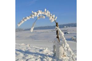 Vom Winter verzaubert