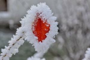 Winterzauber