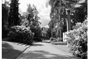 Fiedhofweg