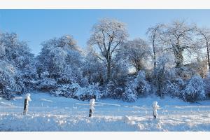 Winter Landschaft