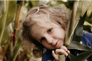 Versteckis im Maislabyrinth