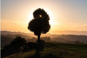 Goldende Stunde im Emmental Goldende Stunde im Emmental