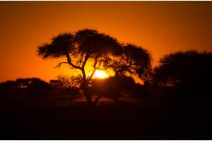Sonnenuntergang in der Kalahari Sonnenuntergang in der Kalahari