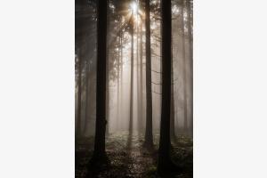 Auf der Suche nach Licht Auf der Suche nach Licht