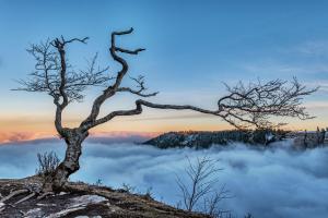 Nebel - oben blau unten grau Nebel - oben blau unten grau