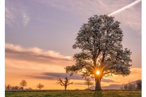 Basler Landschaft