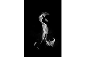 Feuer und Flamme 