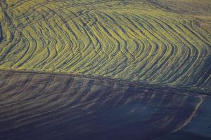 Feld mit Reifen Spuren. 
