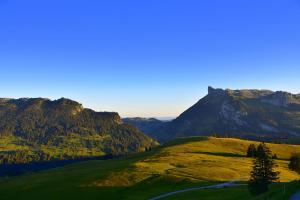 Morgen Stimmung 