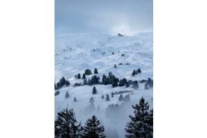 Nebel und Licht bei Lenzerheide 