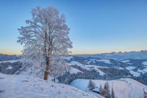 Winterzauber Emmental