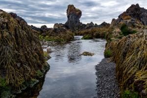 Fairyland