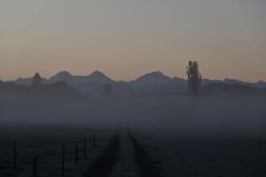 Herbstlicher Nebel über dem Moos bei Walkringen Herbstlicher Nebel über dem Moos bei Walkringen