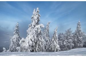 Winter Wonderland Solothurner Jura
