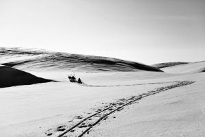 In der sibrierischen Tundra