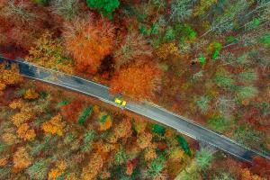 Indian summer