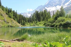 Schwarzsee im Lötschetau 