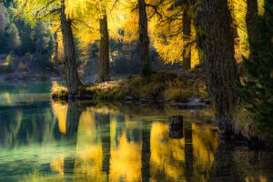 Herbst im Engadin Herbst im Engadin