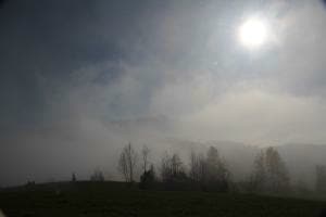 Im Nebel Im Nebel