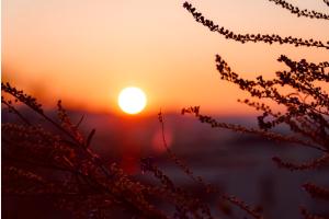 Sunset Sunset