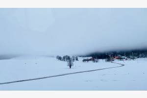 Brouillard Brouillard