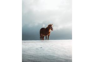 Finding beauty in simplicity