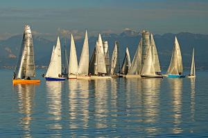 Segelboote auf dem Genfersee bei Rolle VD