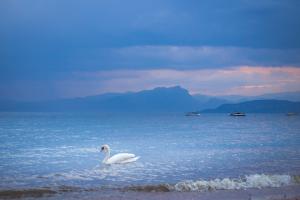 Gardasee