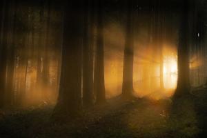 Lichtspiel Lichtspiel