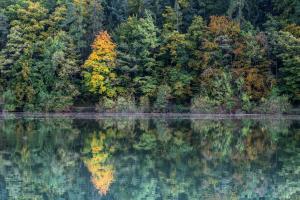 Herbstfarben