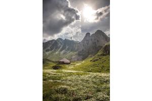 Alpsommer