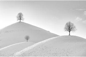 Drumlins