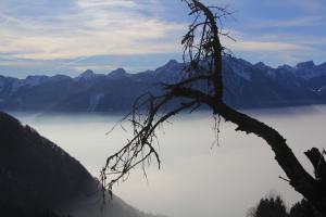 Aussicht geniessen