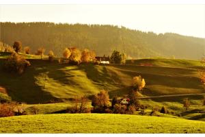Herbst