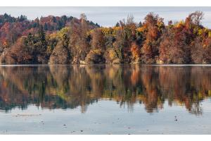 Herbststimmung