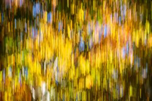 Herbstfarben1