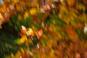 Herbstfarben2