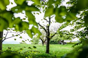 In der Natur