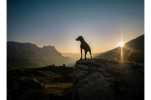 King of the Mountains King of the Mountains