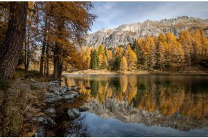 Goldener Oktober (Lai da Palpuogna)