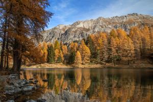 Laj da Palpuogna - Goldener Herbst