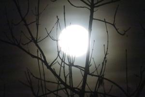 Der Weihnachtsvollmond Der Weihnachtsvollmond
