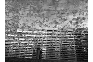  Worb Dorf Architektur