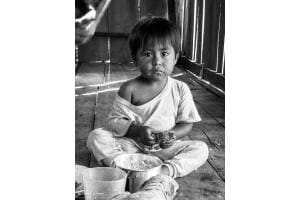 Ein tiefer Blick...im Herzen des Amazonas